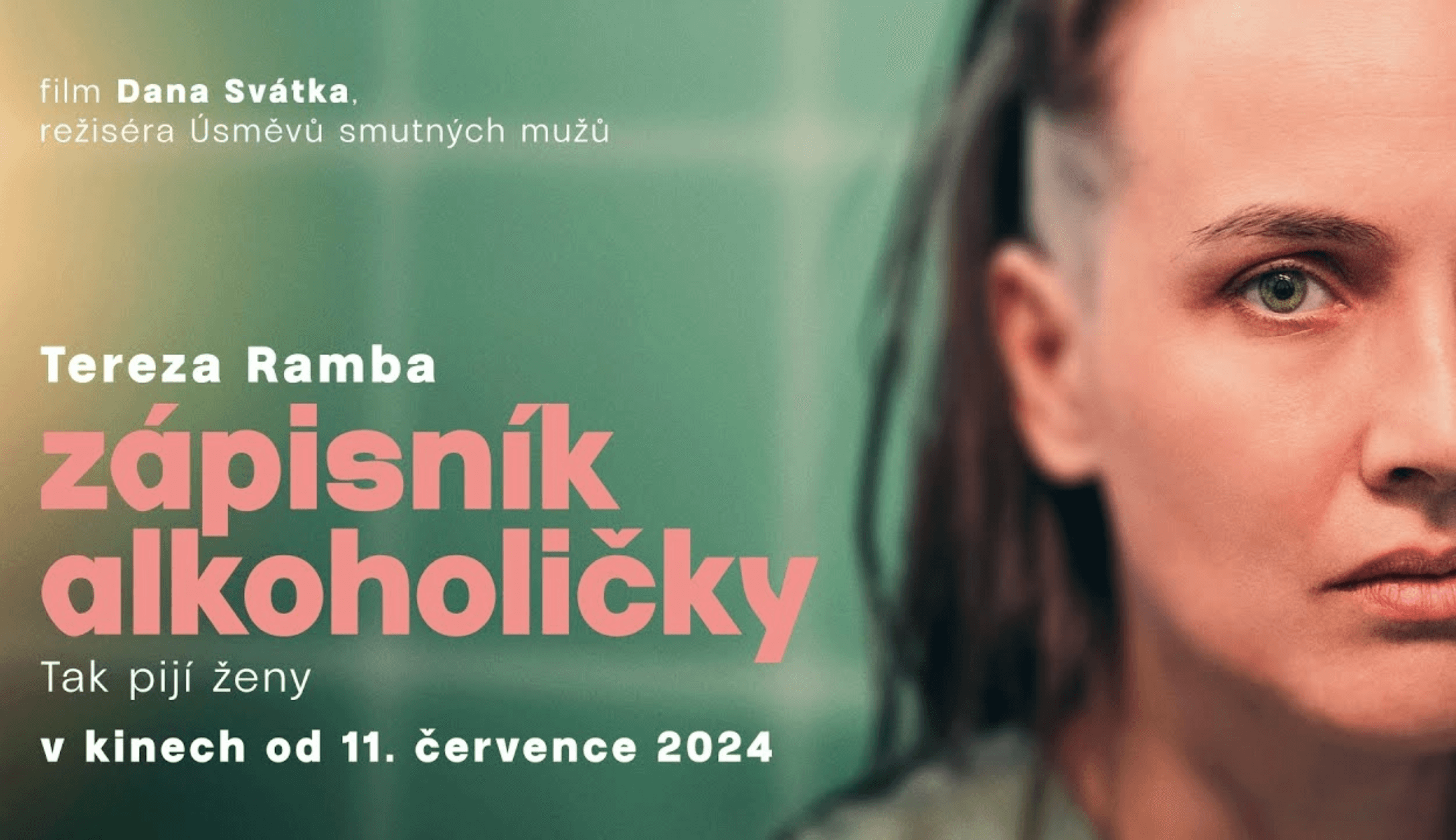 Zápisník alkoholičky