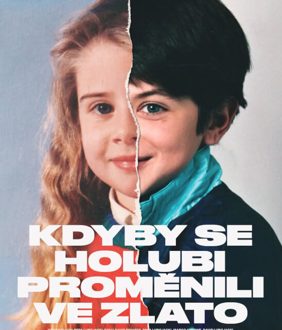 Kdyby se holubi proměnili ve zlato